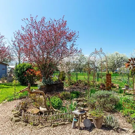 La Maisonannette * Vinningen